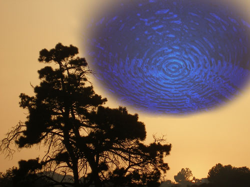 Blue Portal
